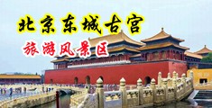 成人肏老屄视频看看中国北京-东城古宫旅游风景区
